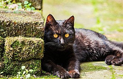 《暗黑破坏神：不朽》未来更新细节：有新职业 还能钓鱼